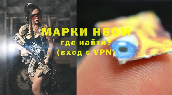 прущий лед Краснослободск