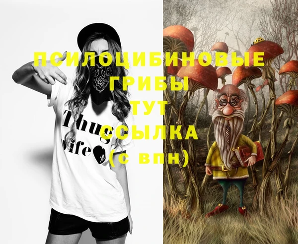 стафф Краснотурьинск