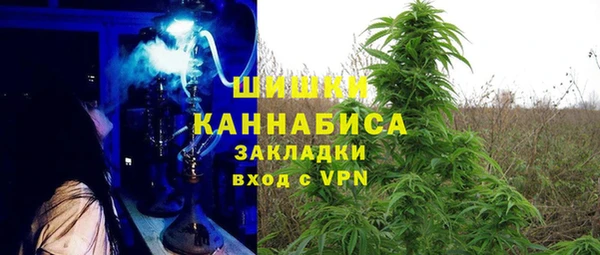 ешки Корсаков