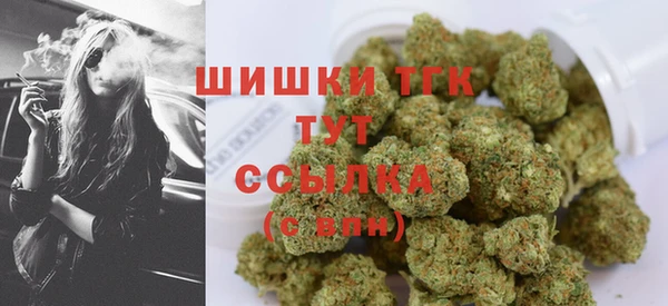 прущий лед Краснослободск
