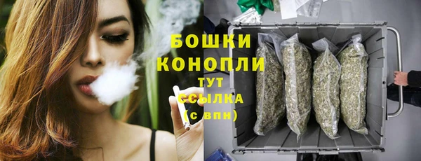 прущий лед Краснослободск