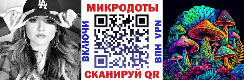 купить наркоту Шацк Псилоцибиновые грибы прущие грибы